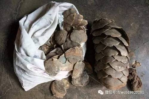 进口动物贸易,动物进出口贸易