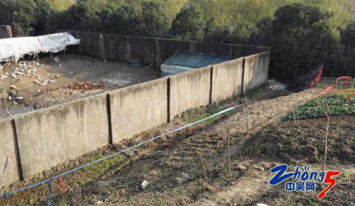 死鸡死鸭被扔到北塘河畔恶臭熏天两区联合处理