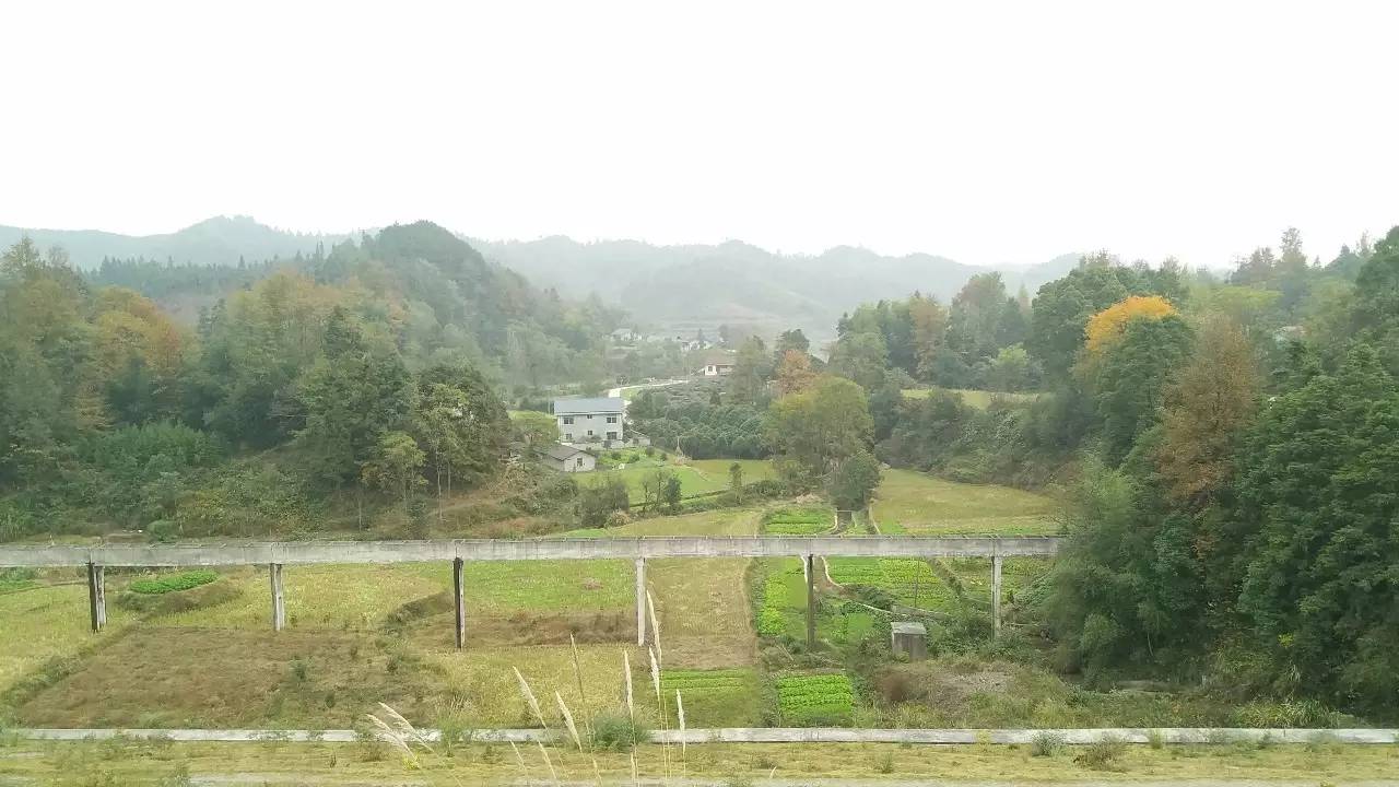 鹤城很美,鹤城好玩的