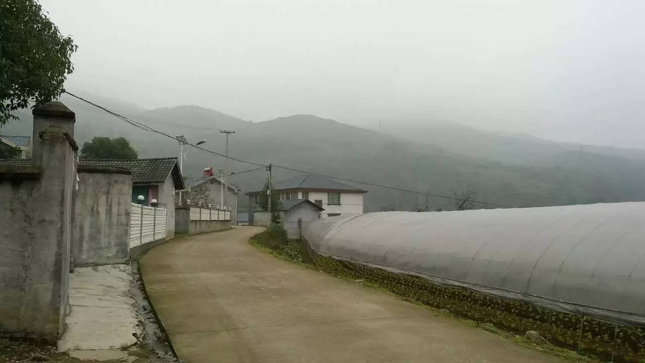 鹤城很美,鹤城好玩的