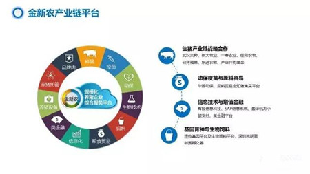 金新农20周年,金新农饲料2019