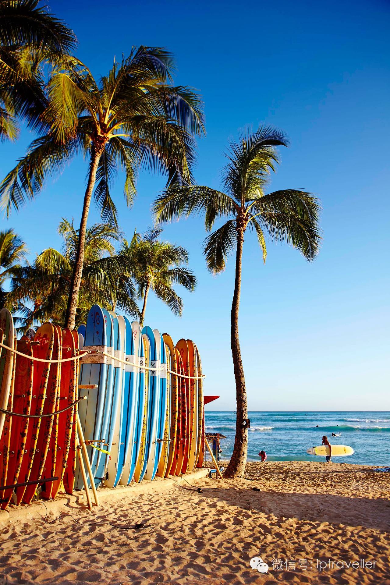 星球坐标｜夏威夷：发现惊喜之地2017这样玩转Aloha之夜