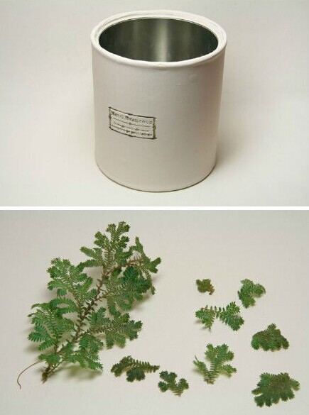 用完的奶粉罐可以做成小凳子,宝宝的奶粉罐用完了要怎么做手工