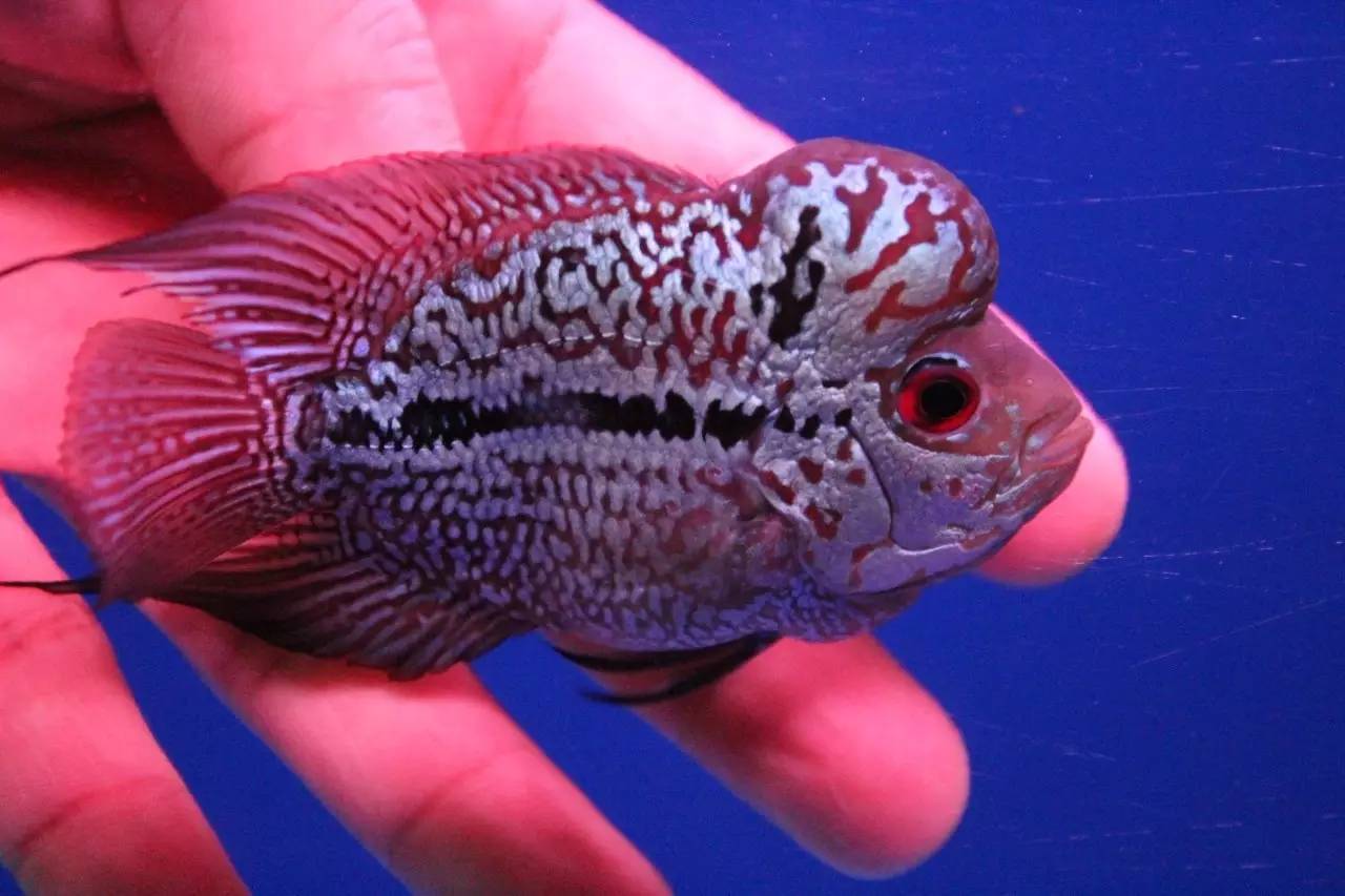 水质管理技巧视频,水质管理的基本方法