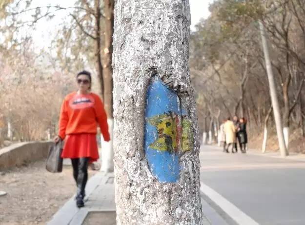 相山国家森林公园有什么好玩的,相山公园好玩吗