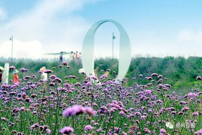 郑州旅游年卡2023怎么办理,郑州旅游年卡在哪里办