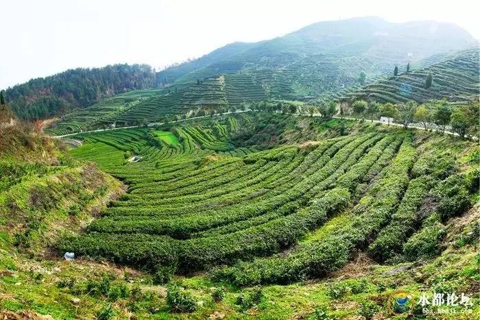 水都网友看农业感受水都新变化