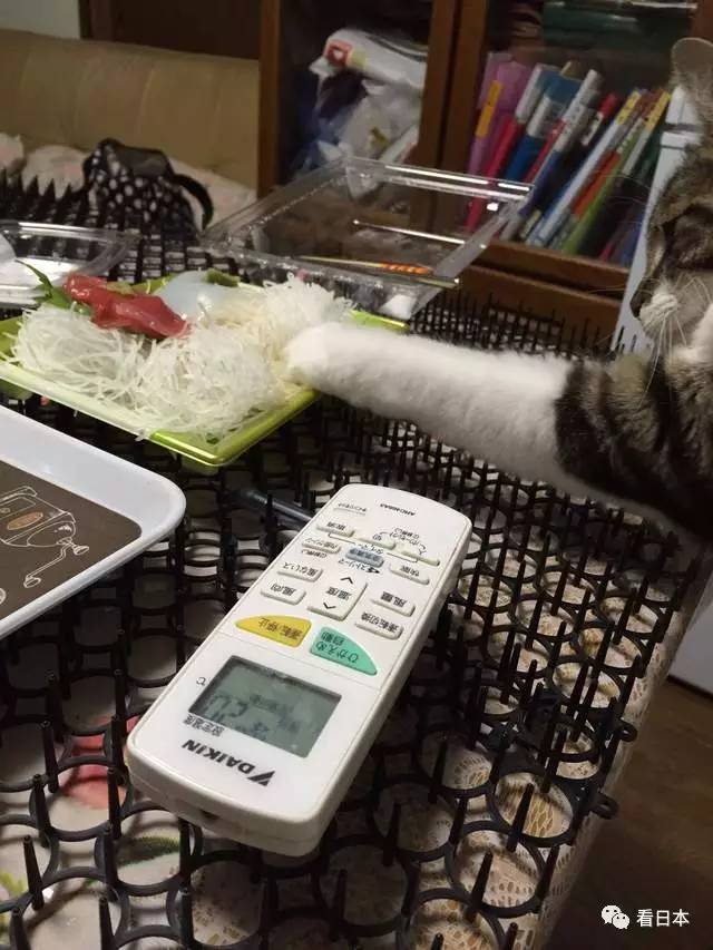 日本人发明的捕鼠神器,日本人发明装置