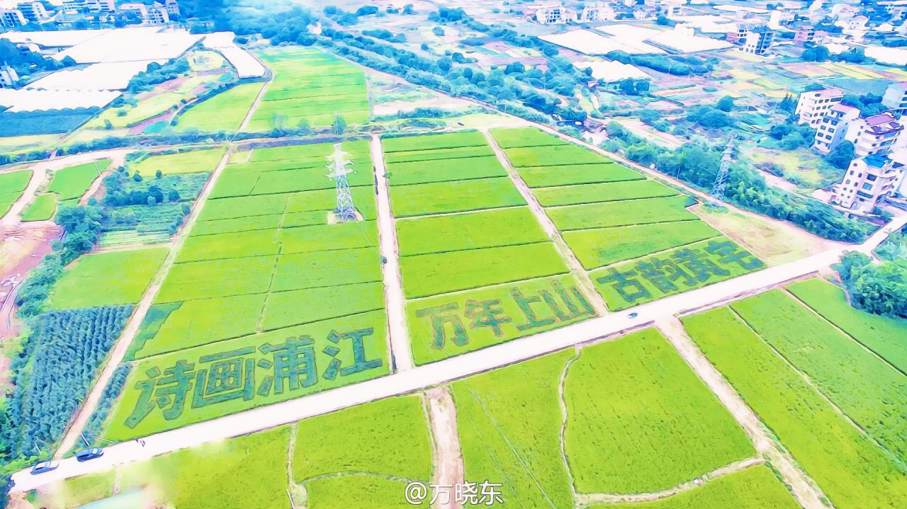 你的名字叫英语,你的名字司南