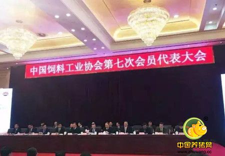 金新农20周年,金新农饲料2019