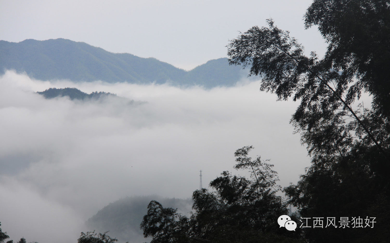 最美云海,人间仙境在江西