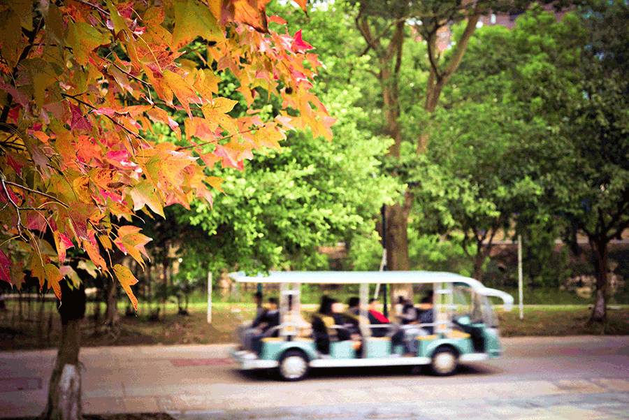 这几天千万不要来北师珠!