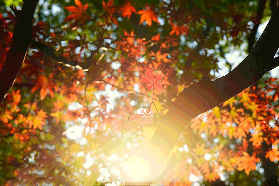 这几天千万不要来北师珠!