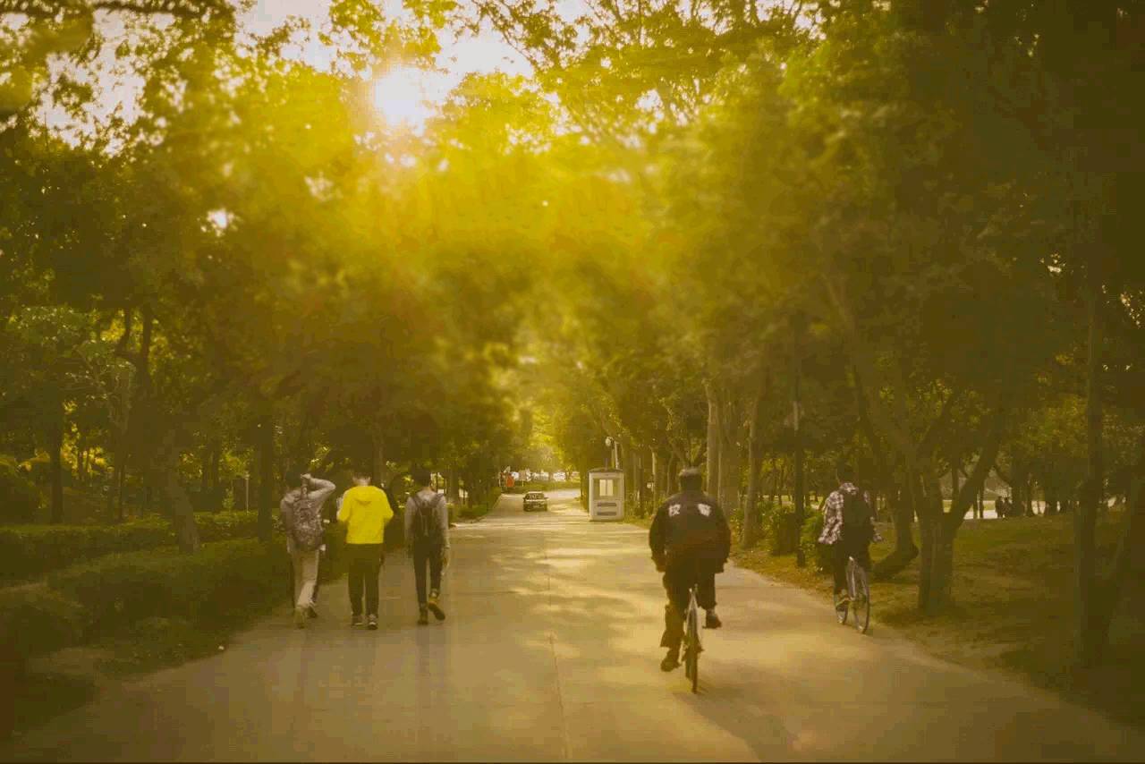 这几天千万不要来北师珠!