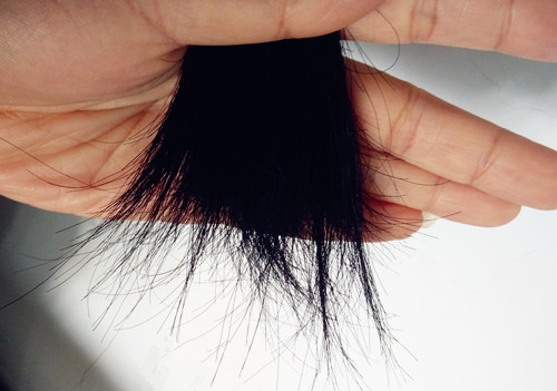 海飞丝修复头发角质层,海飞丝丝滑柔顺型去屑护发素