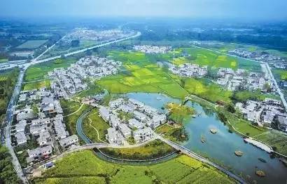 郫县豆瓣现状,郫县豆瓣有什么特别之处