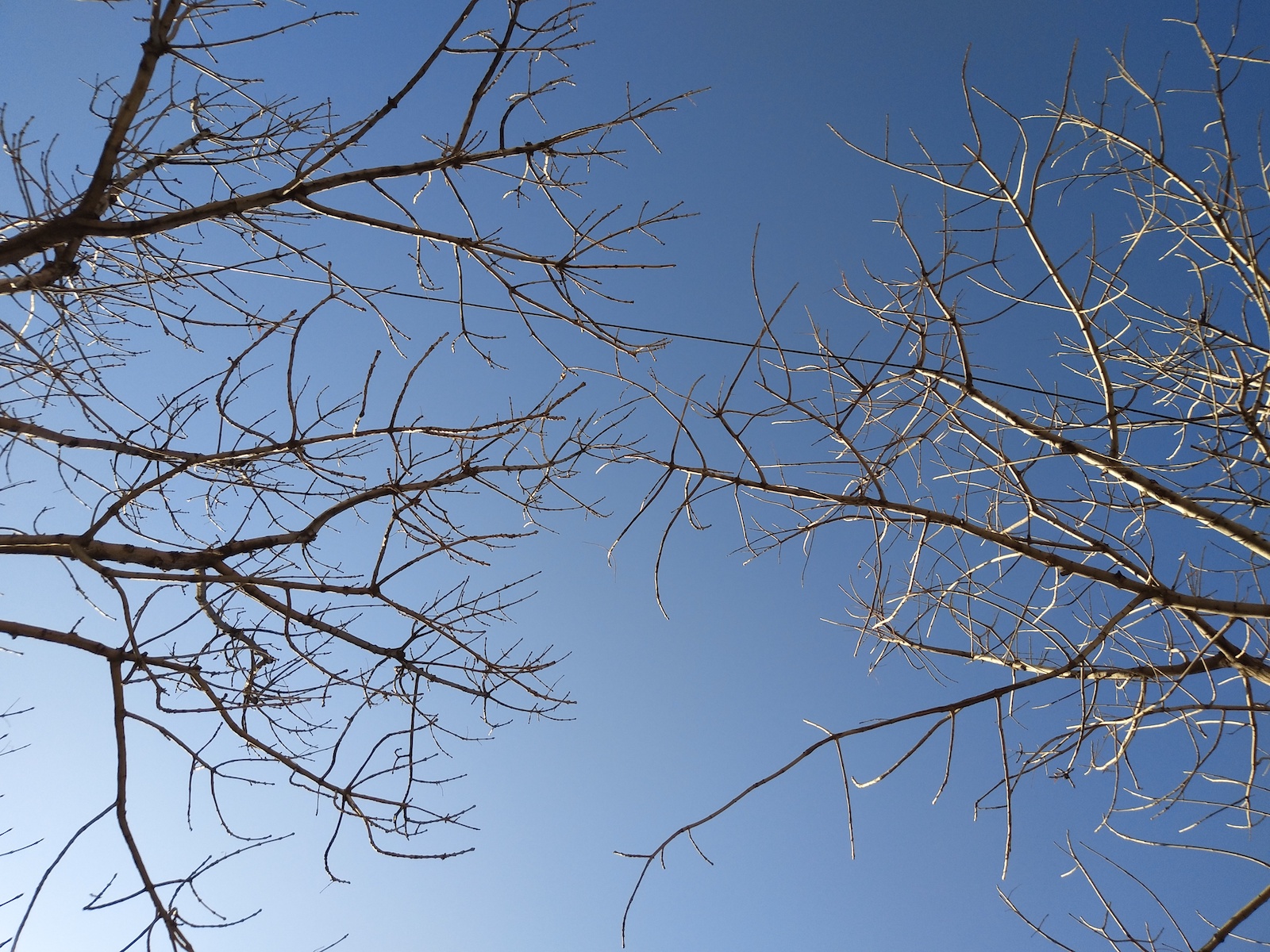 柔光双摄妹子的最爱，vivoX9自拍体验