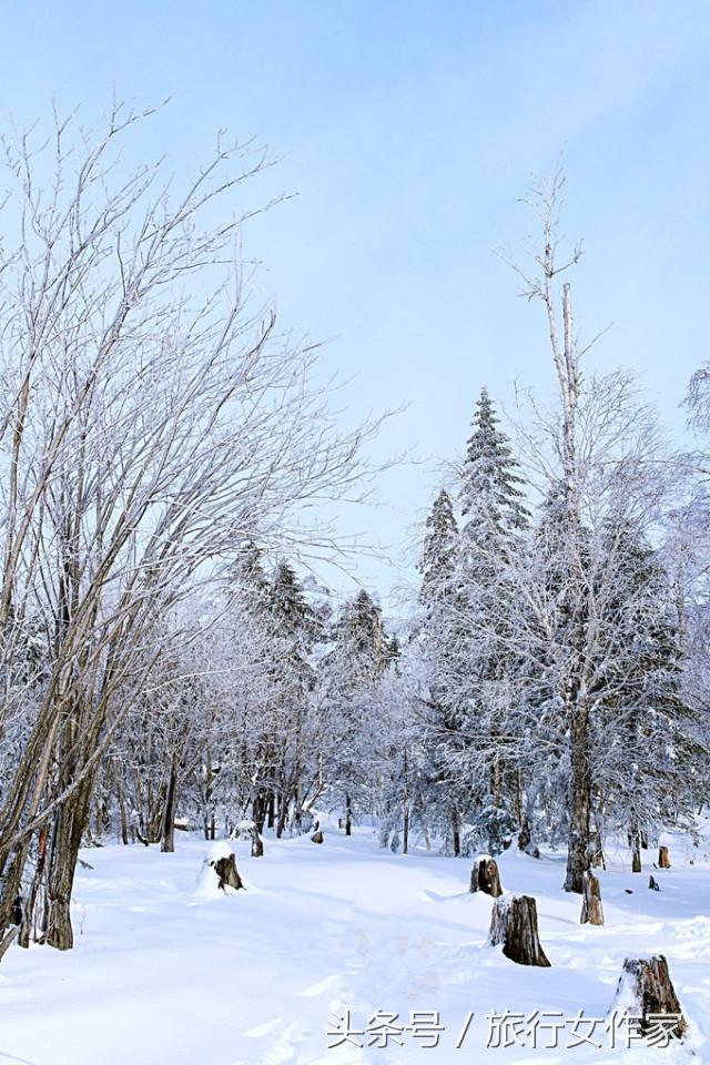 哈尔滨冷空气实拍,哈尔滨未来15天冷空气