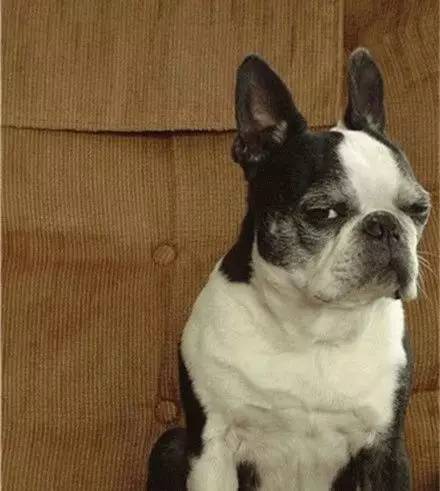 快递到货开箱验货有用吗,收快递开箱验货是什么步骤