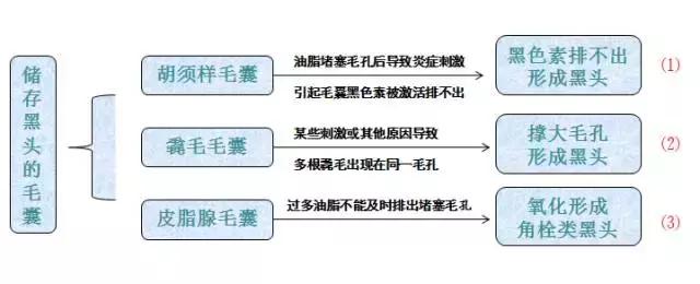 全网去黑头口碑最好的办法,目前公认去黑头最好的办法