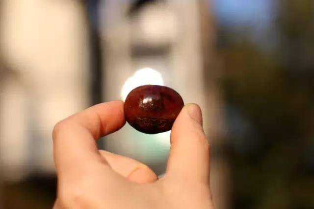 食物就是最好的灵丹妙药图书,食物是健康的良方