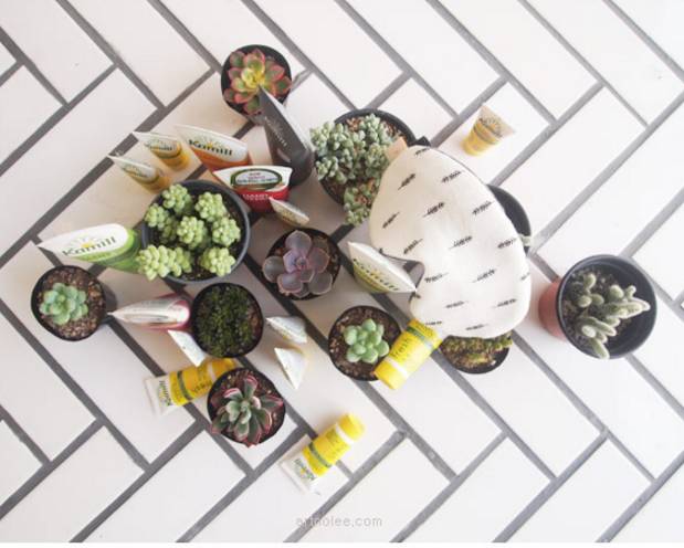 女生有什么提升生活品质的东西,姑娘你值得拥有与被爱