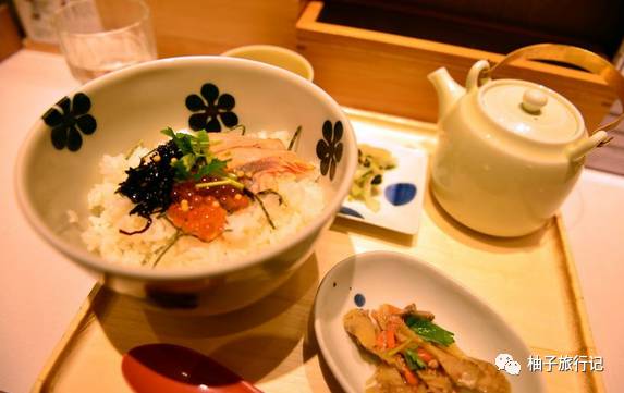 樱花旅行记全集视频,樱花季日本14天旅游攻略