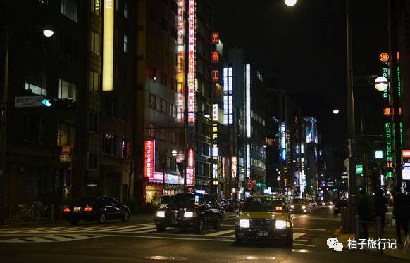 樱花旅行记全集视频,樱花季日本14天旅游攻略