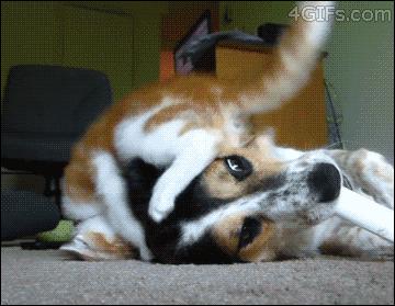 那些年*辱侮**我们智商的剧情,今天才发现深深被套路了~被套路了~