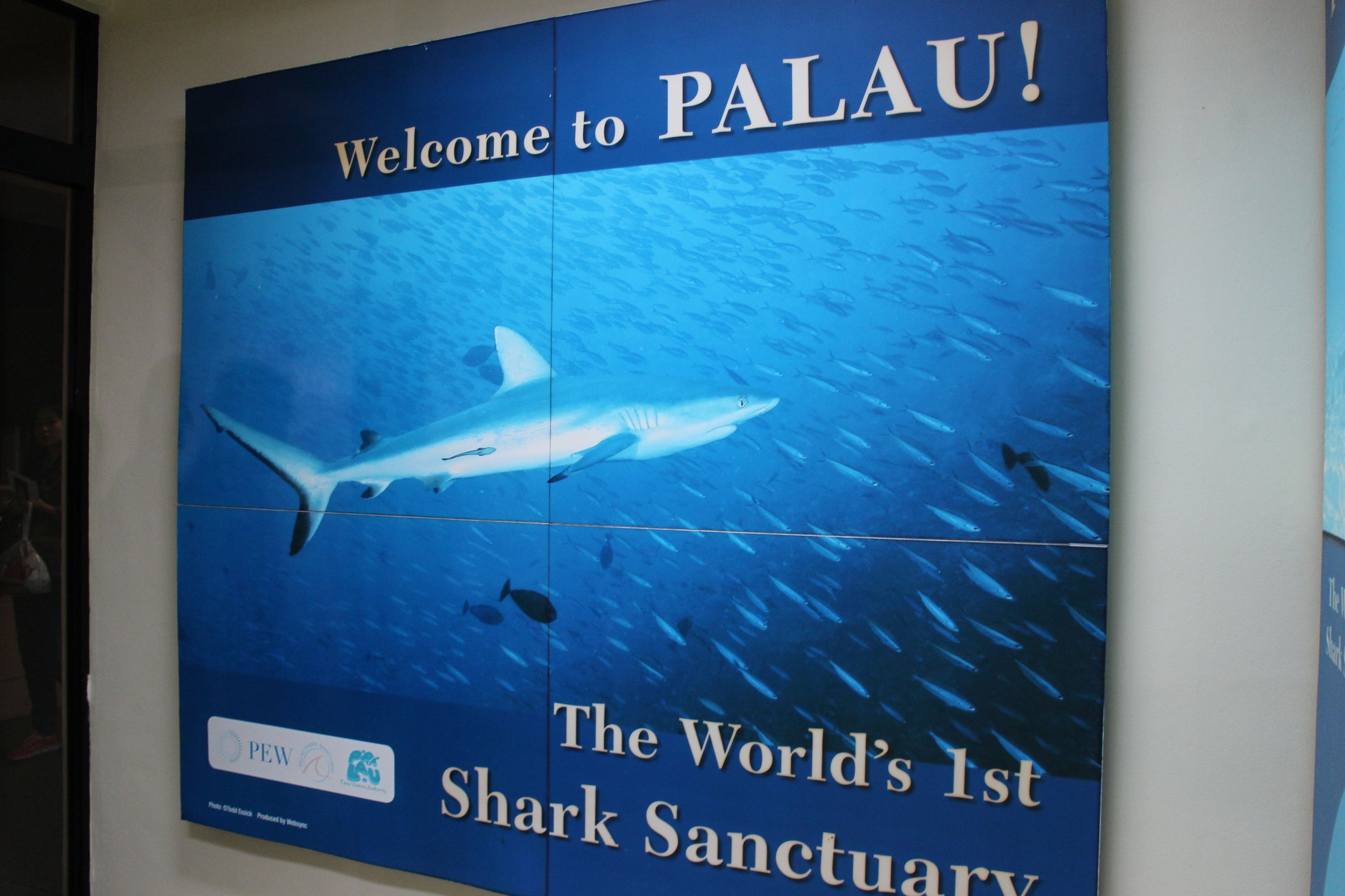 Mini帕劳,有片伟大的海洋(一)