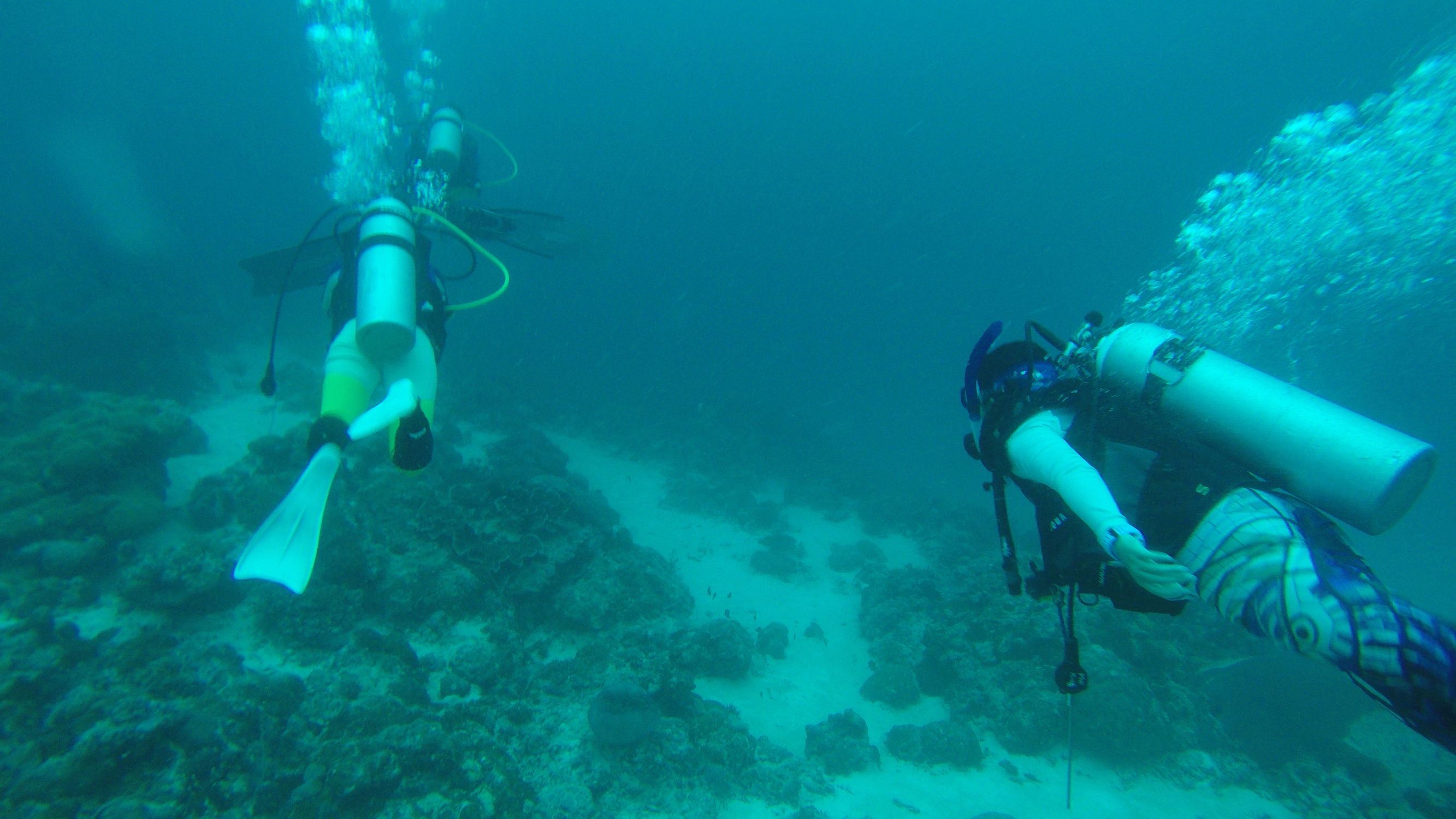 Mini帕劳,有片伟大的海洋(一)