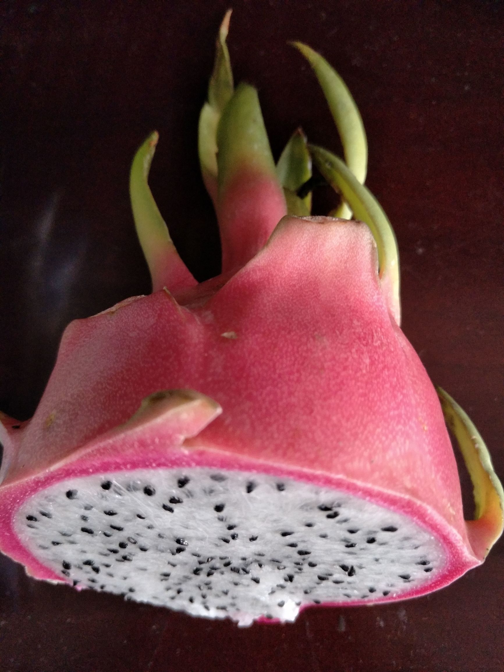 没有菌粉如何用酸奶机自制酸奶,酸奶机自制酸奶多长时间最好