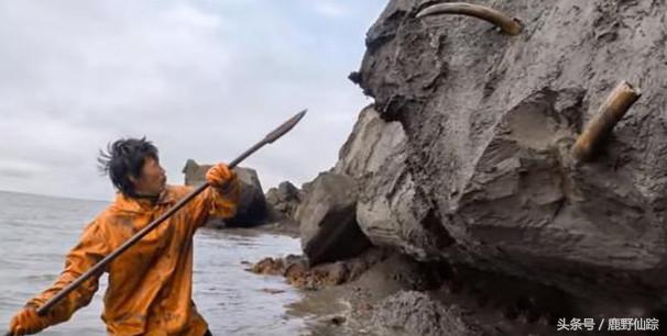 传奇国度的宝藏，从冻土中只要挖到1枚，几百万到手