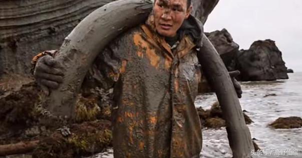 传奇国度的宝藏，从冻土中只要挖到1枚，几百万到手