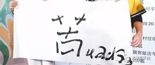 当“光速”遇上“龟速”,一条捷运为何在海峡两岸引发争议?