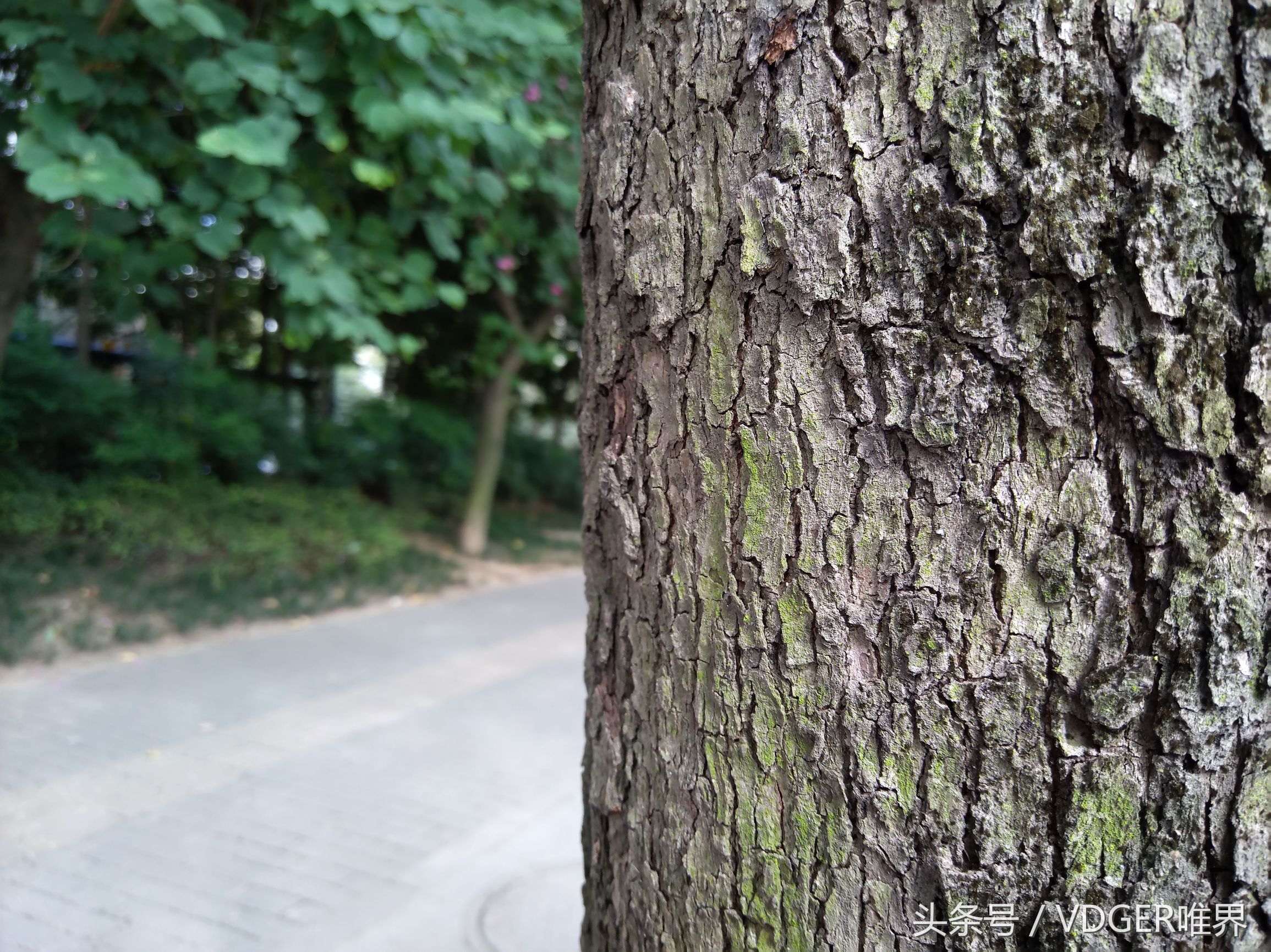 努比亚z11minis怎么样,努比亚z11mini