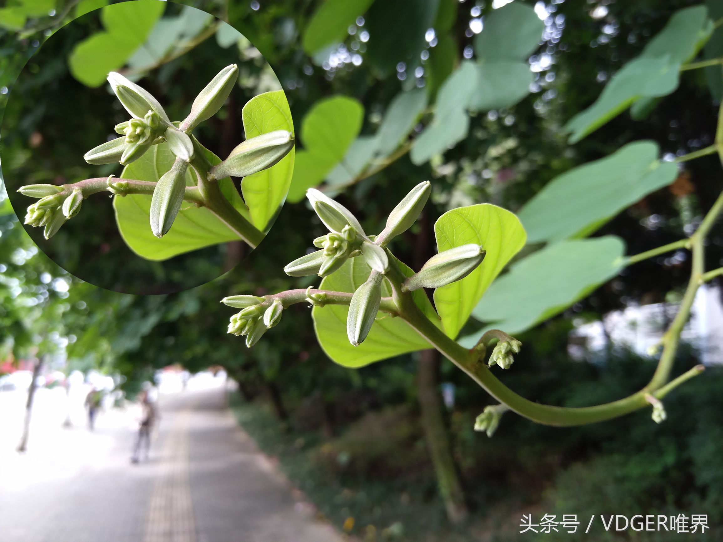 努比亚z11minis怎么样,努比亚z11mini