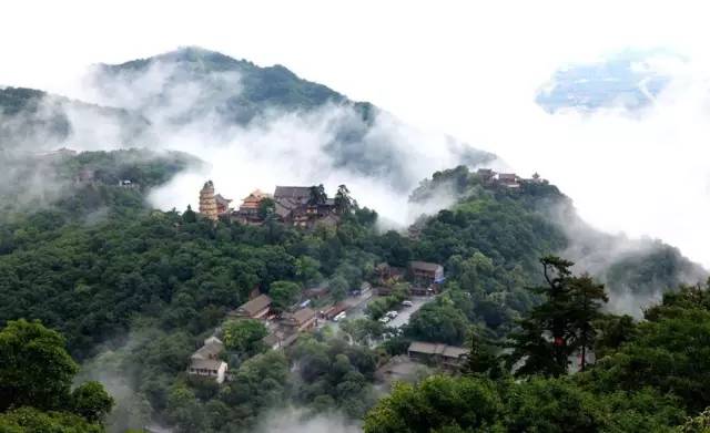 各个省份选美大赛,甘肃选美大赛冠军