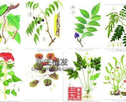 中医固本培元步骤方法,老中医固本培元药方