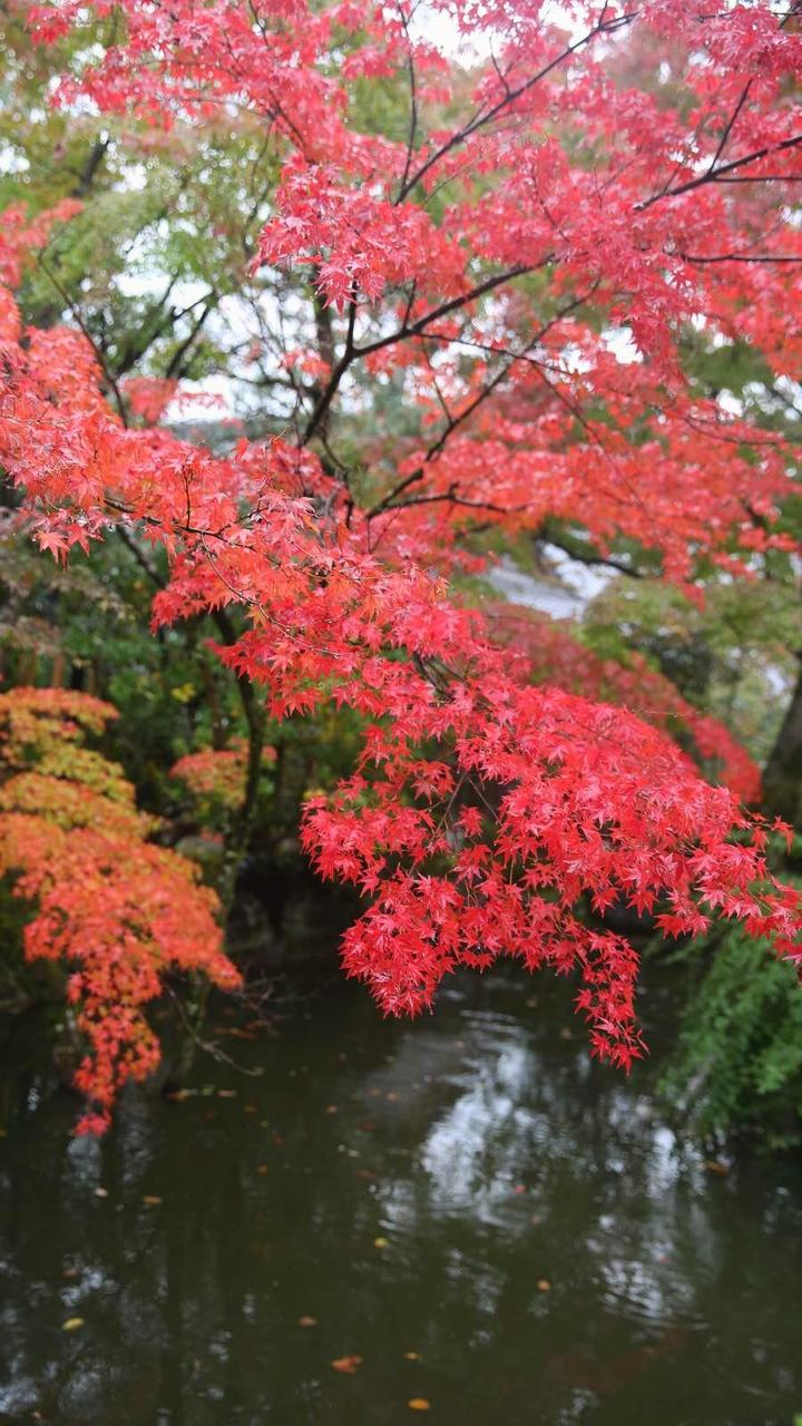 日本关西温泉圣地,日本关西房间内温泉