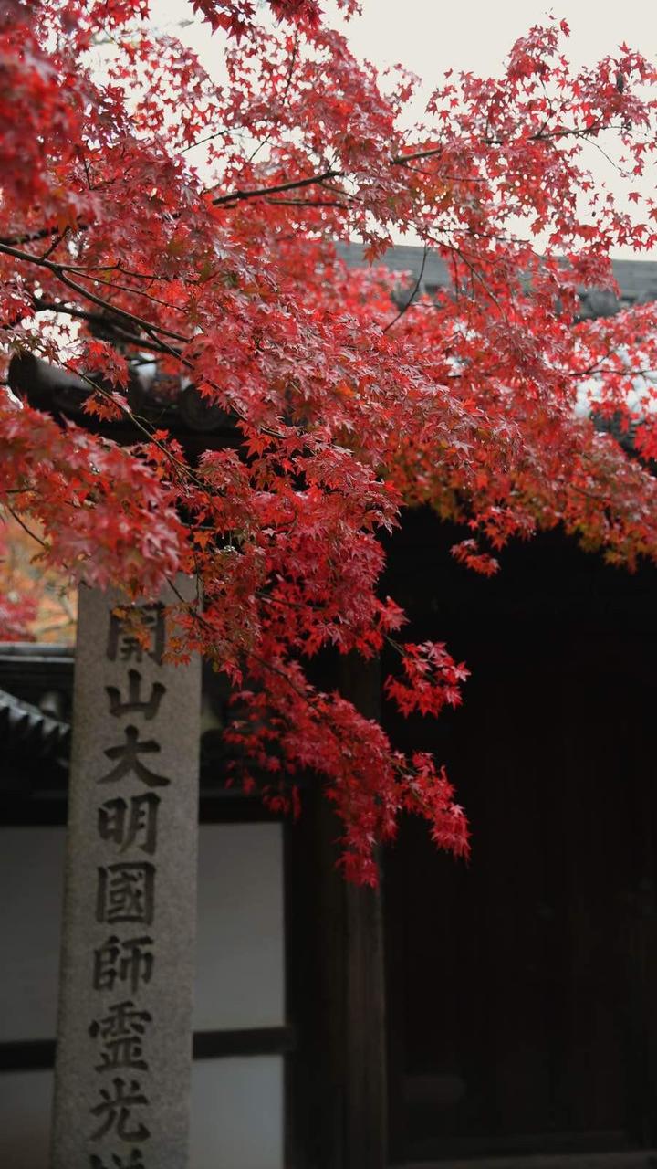 日本关西温泉圣地,日本关西房间内温泉