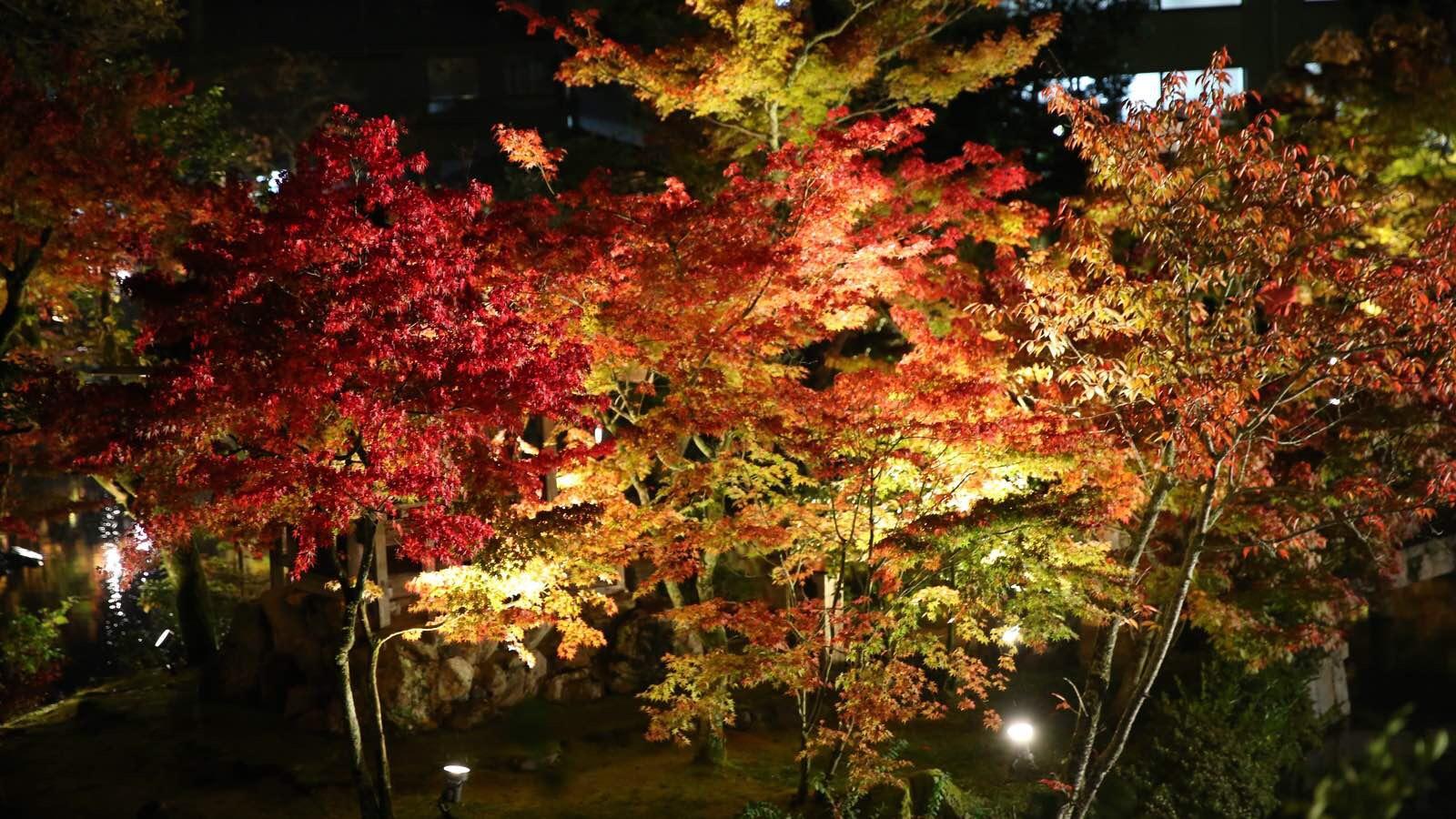 日本关西温泉圣地,日本关西房间内温泉