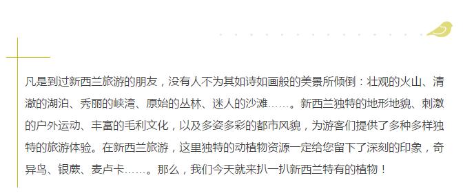 关于新西兰的人文地理知识,新西兰植物