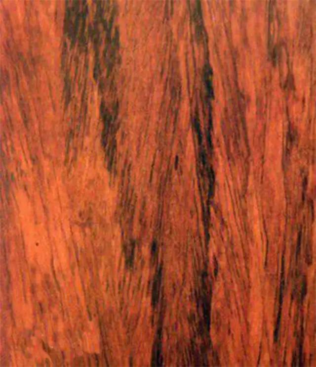 真正的紫檀树,真正的紫檀木材