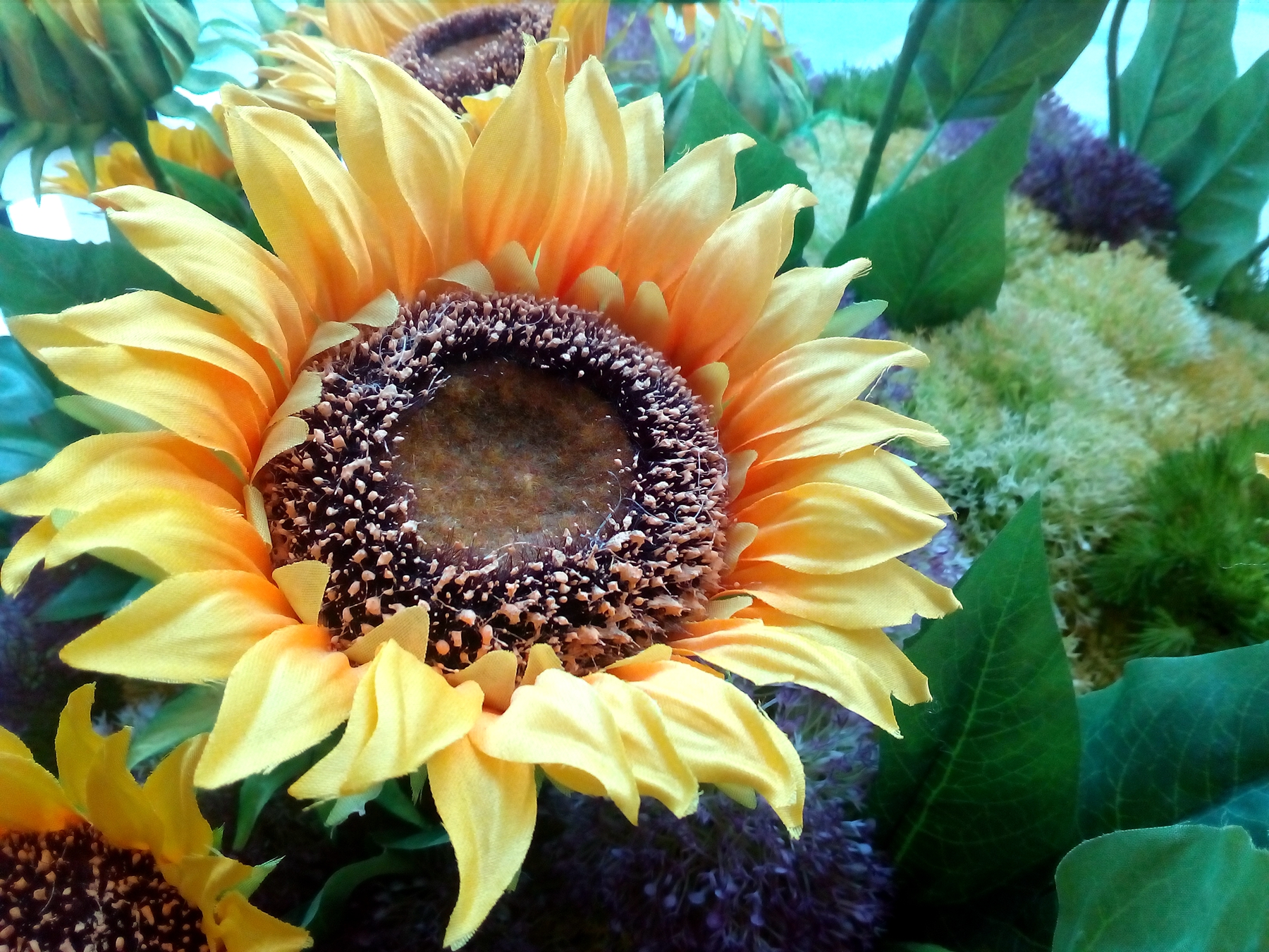 全网通+柔光自拍的荣耀畅玩5评测体验