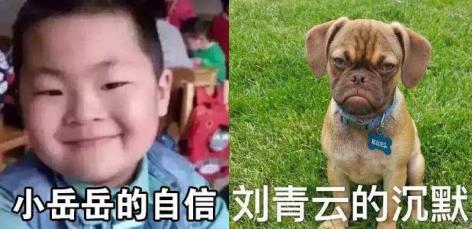 你没见过的搞笑表情包,你没见过世面表情包