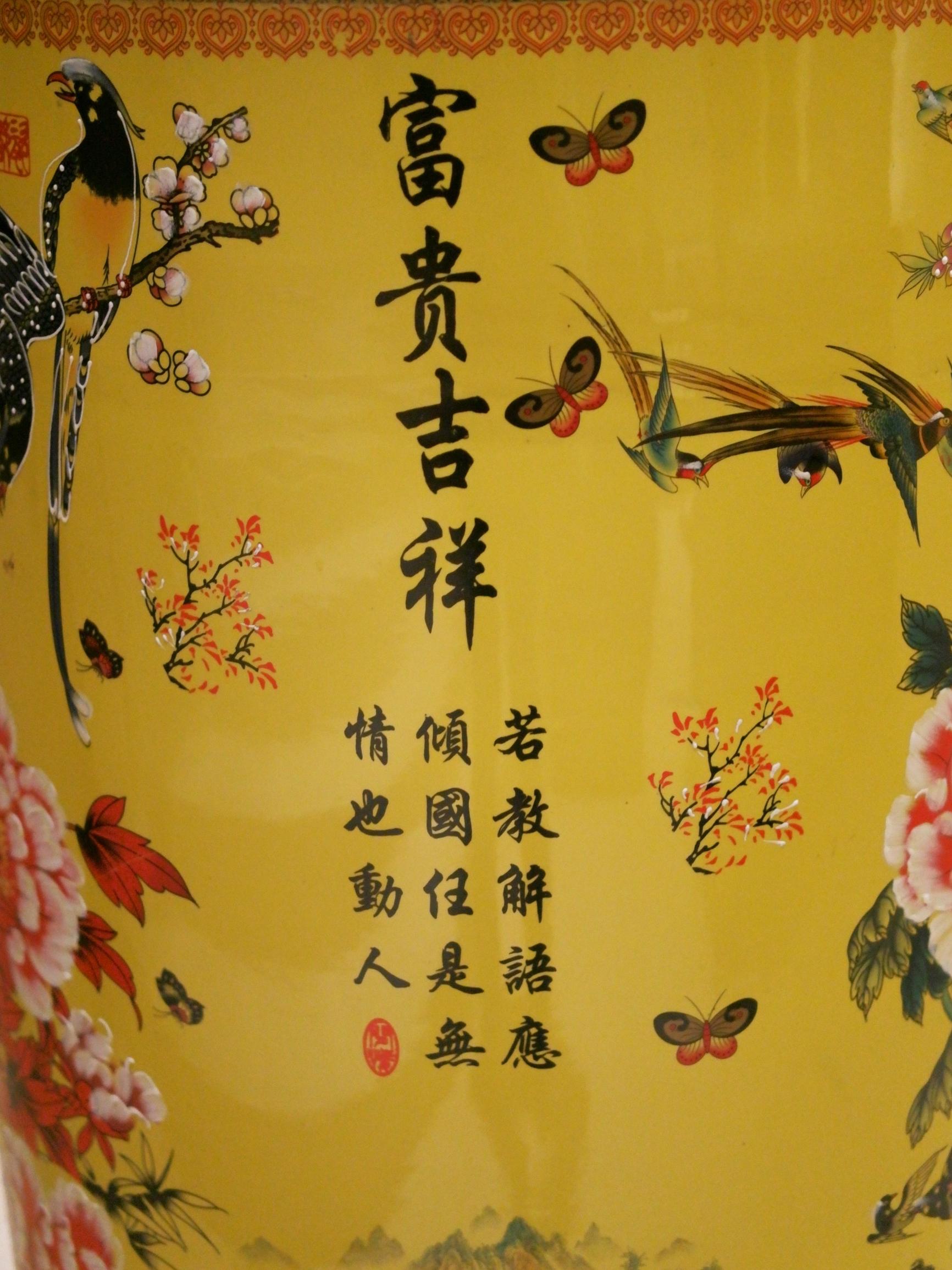 国产数码相机崛起,小蚁微单有哪些