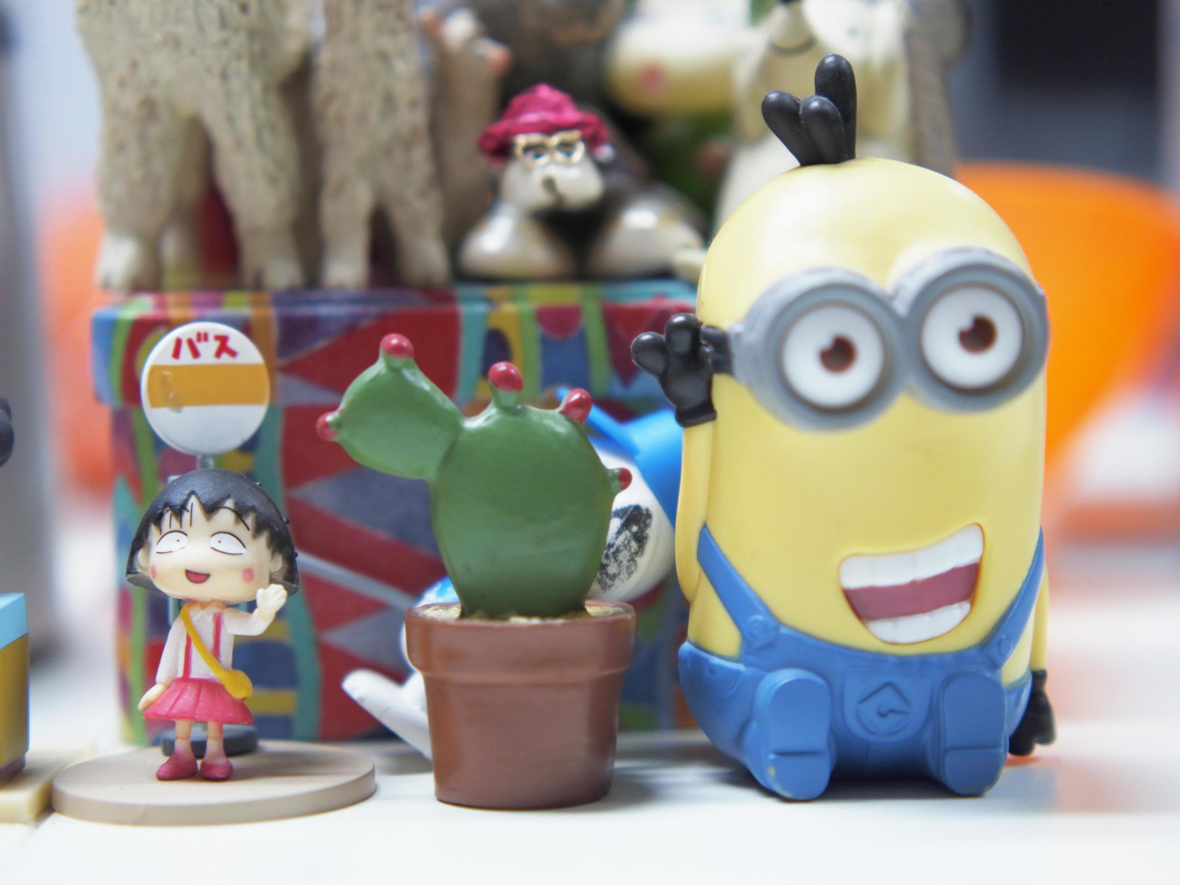 国产数码相机崛起,小蚁微单有哪些