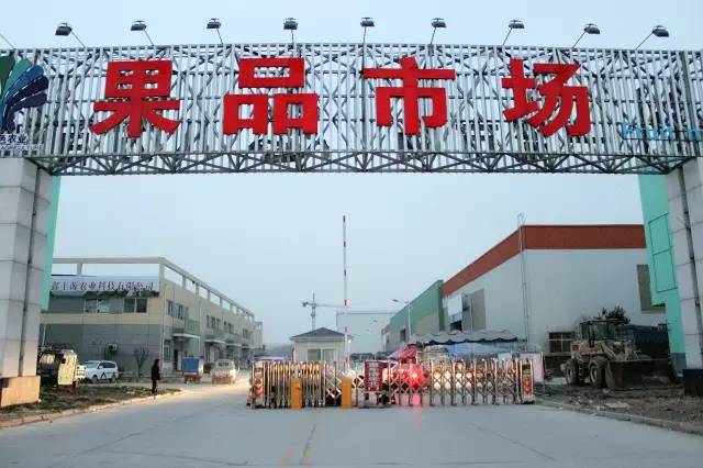 逛水果批发市场拿货,山东十大水果批发市场