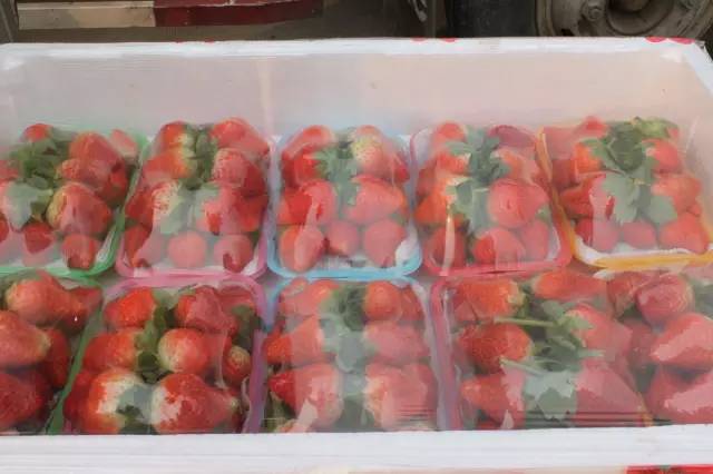 逛水果批发市场拿货,山东十大水果批发市场